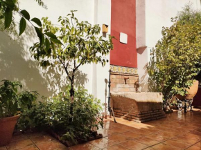 Dar Ar Nur Albaycin con patio